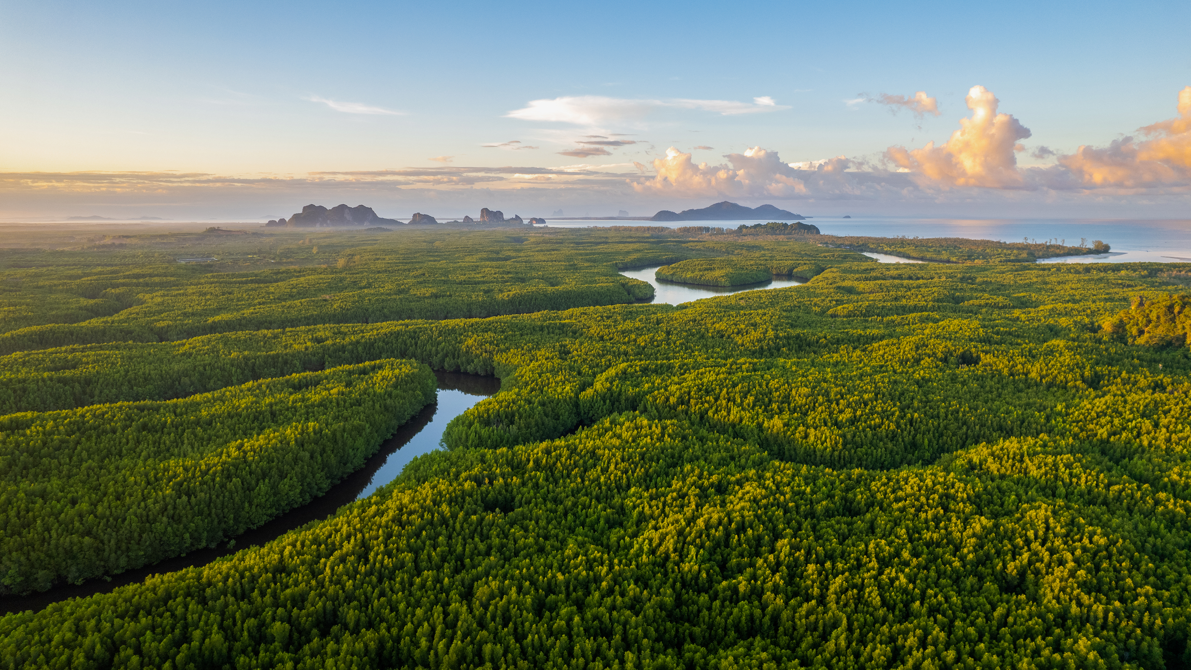 Green forest with a blue river and sky with clouds as background.